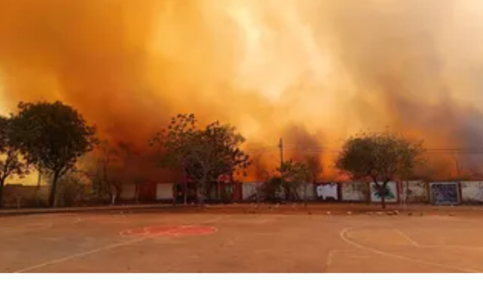 मेजा के जंगल में लगी आग (फ़ोटो)